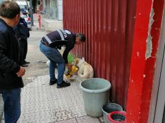 REŞADİYE’DEN AVRUPAYA MEDENİYET DERSİ