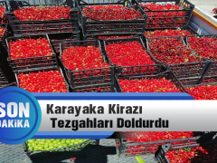 Karayaka Kirazı Tazgahları Doldurdu