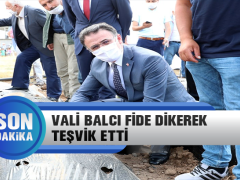 Vali Balcı Fide Dikerek Teşvik Etti
