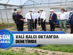 Vali Balcı Oktam’da Denetimde