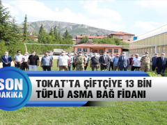 Tokat’ta Çiftçiye 13 Bin Tüplü Asma Fidanı