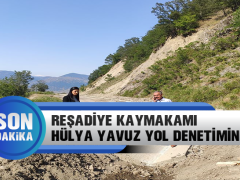 Reşadiye Kaymakamı Yavuz Yol Denetiminde