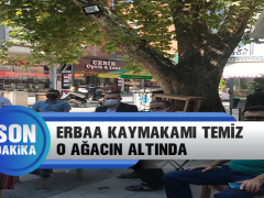 Erbaa Kaymakamı Mustafa Temiz ‘O Ağacın Altında’