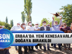 Erbaa’da Yeni Kenesavarlar Doğaya Bırakıldı