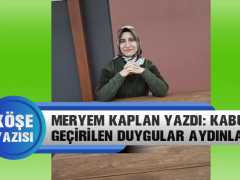 Meryem Kaplan Yazdı: Kabule Geçirilen Duygular Aydınlanma