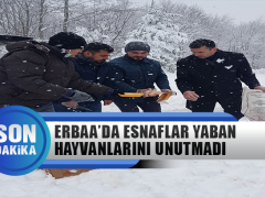 Erbaa’da Esnaflar Yaban Hayvanlarını Unutmadı