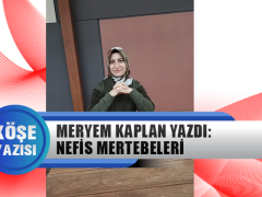 Meryem Kaplan Yazdı: Nefis Mertebeleri