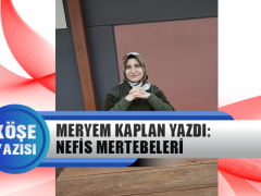 Meryem Kaplan Yazdı: Nefis Mertebeleri