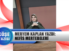 Meryem Kaplan Yazdı: Nefis Mertebeleri