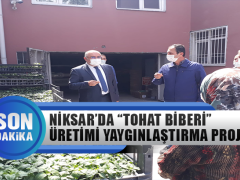 Niksar’da “Tohat Biberi” Yetiştirme Projesi