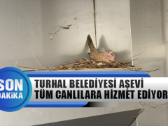 Turhal Belediyesi Aşevi Tüm Canlılara Hizmet Ediyor