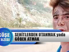 Fatih Kaplan Yazdı: Şehitlerden Utanmak yada Göbek Atmak
