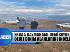 Erbaa Kaymakamı İsmail Altan Demirayak Ceviz Dikim Alanlarını İnceledi