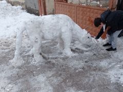 Babasının Yaptığı Kardan İneği Kendi Elleriyle Besledi