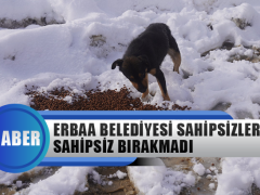 Erbaa Belediyesi Sahipsizleri Sahipsiz Bırakmadı