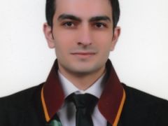 Av. Mustafa A. Demir Yazdı: Türkiye Açısından Bir Durum Değerlendirmesi