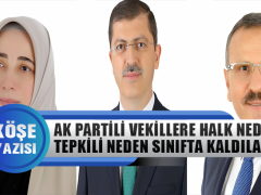 Fatih Kaplan Yazdı: Ak Partili Vekillere Halk Neden Tepkili, Neden Sınıfta Kaldılar?