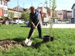 Niksar’a Güzel Bir Çehre