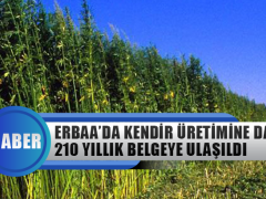 Erbaa’da Kendir Üretimine Dair 210 Yıllık Belgeye Ulaşıldı