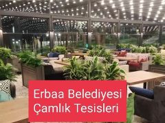 Fatih Kaplan Yazdı: Köfteden Kebaba Evrilmek Beytulmale Devrilmek
