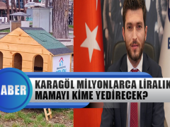 Erbaa Belediyesi’nden Skandal Boyutunda Mama İhalesi