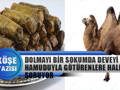 Fatih Kaplan Yazdı: Dolmayı Bir Sokumda Deveyi Hamuduyla Götürenlere Halk Soruyor