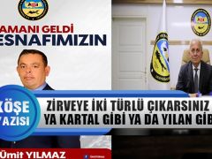Fatih Kaplan Yazdı: Zirveye iki Türlü Çıkabilirsiniz Ya Kartal yada Yılan Olarak