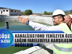 Fatih Kaplan: Başkan Özcan’ın Kanalizasyon Yaparken Lağım Fareleriyle Karşılaşması Doğaldır