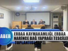 Erbaa Kaymakamlığı, Erbaa Narince Bağ Yaprağı Tescillendirme Toplantısı Yaptı