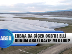 Erbaa’da Çiçek Osb’de Elli Dönüm Arazi Kayıp mı Oldu?